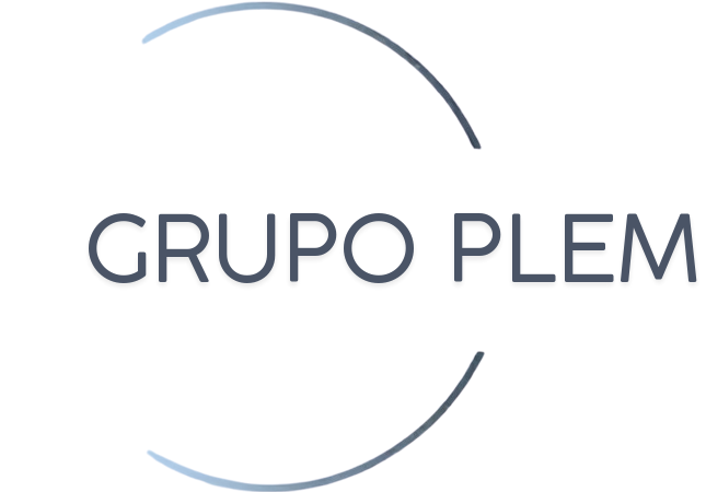 grupoplem.com.ar